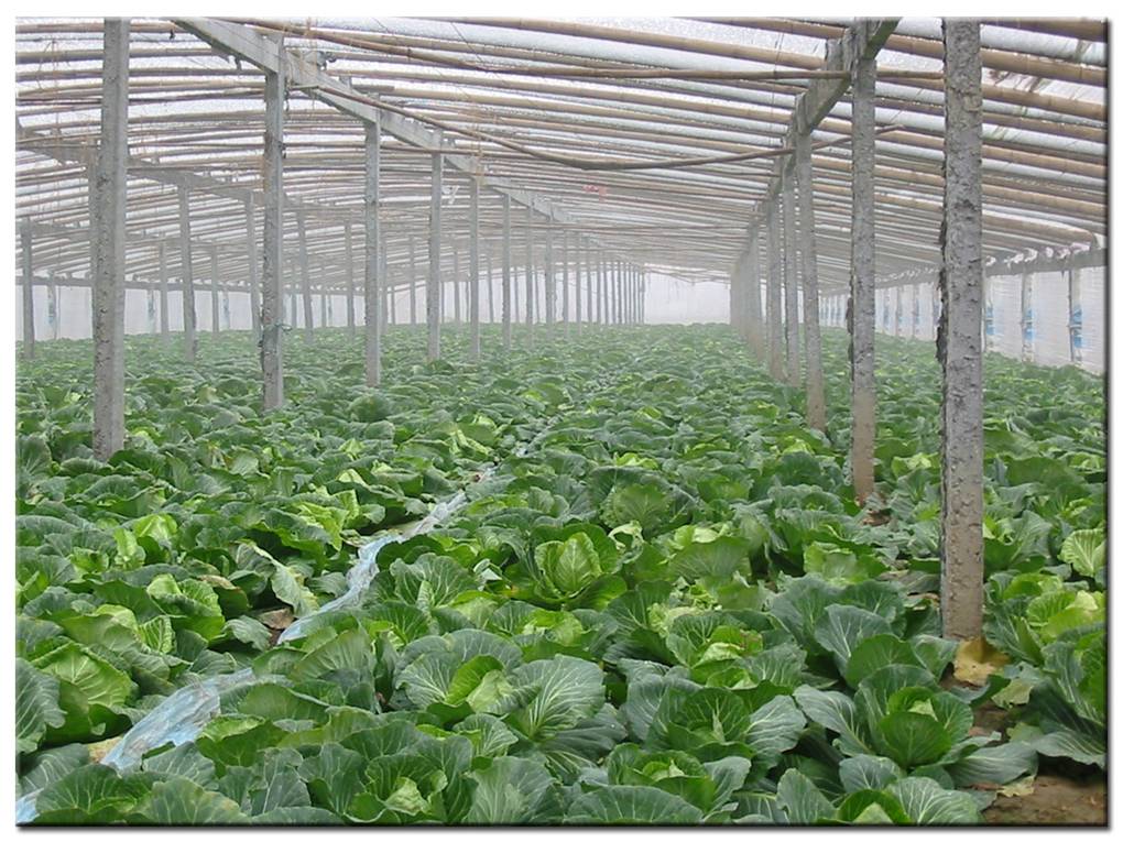 供应海联联合2502农副产品 品质与信赖的承诺