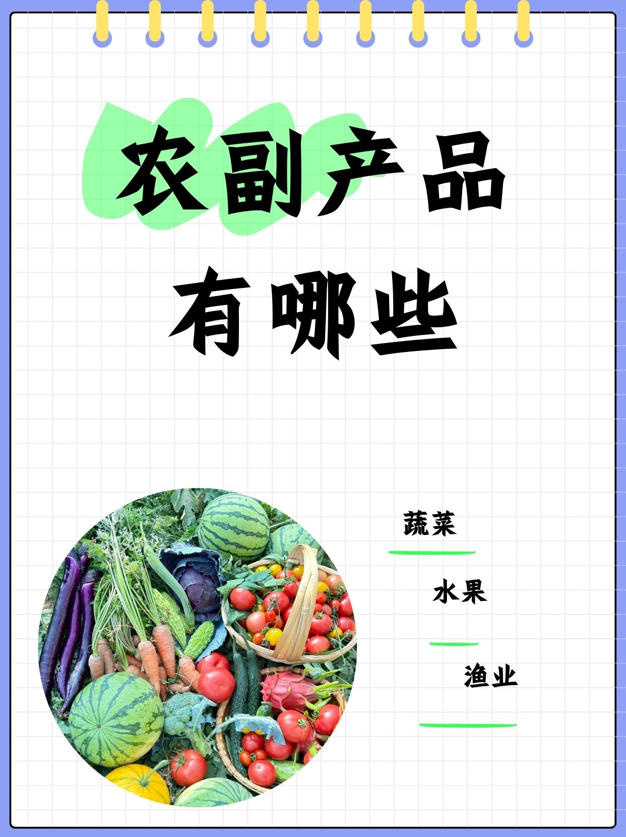 农副产品的多彩世界 超越餐桌的生命力与价值