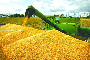 聚焦精准扶贫 财政部推动政府采购优先惠及贫困地区农副产品与物业服务