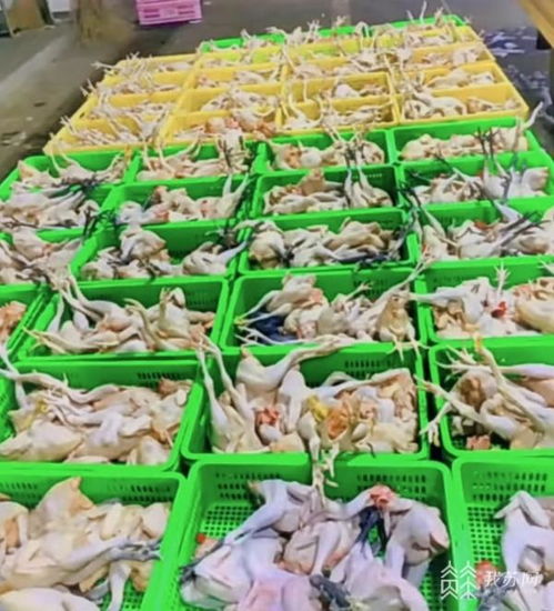 农副产品货源足销售火，苏州市民冬至餐桌丰盛