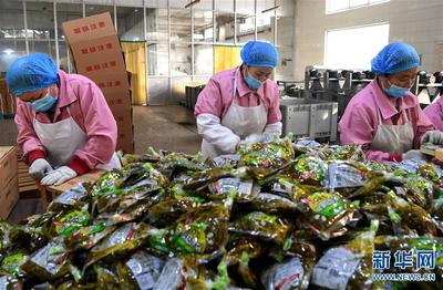 河南郏县: 乡村复工生产忙 农副产品销售旺